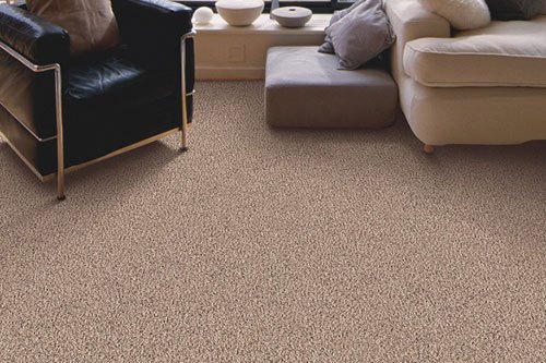 carpet installers near me - January 2020 - Tech News Era