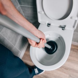How to plunge a toilet