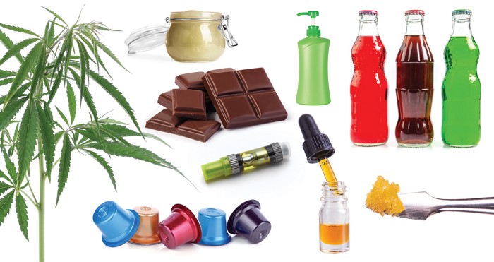Different Popular Types of CBD Products