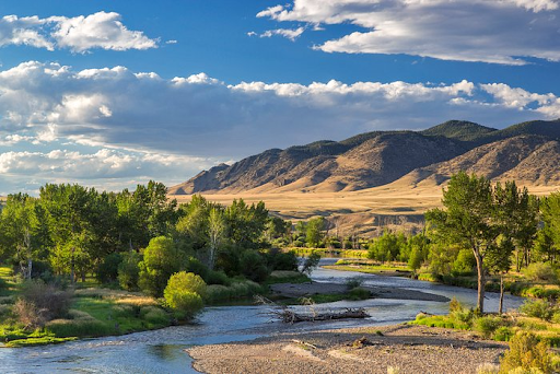 best places to live in montana